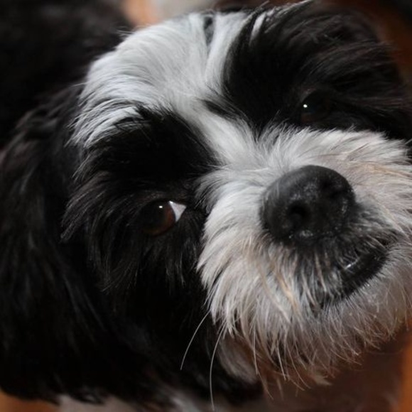 Meet your Posher, Stephie - Picture 1 of 1